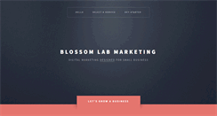 Desktop Screenshot of blossomlab.com